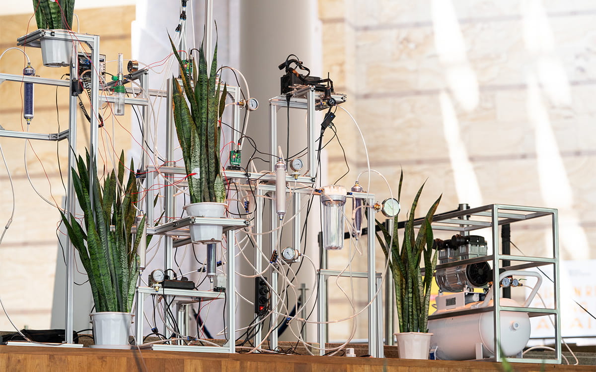 Several potted plants hooked up to a network of tubes and wires, resembling the mechanics of an oxygen concentrator machine, featured in Bagus Pandega's visual arts installation, Stomata.