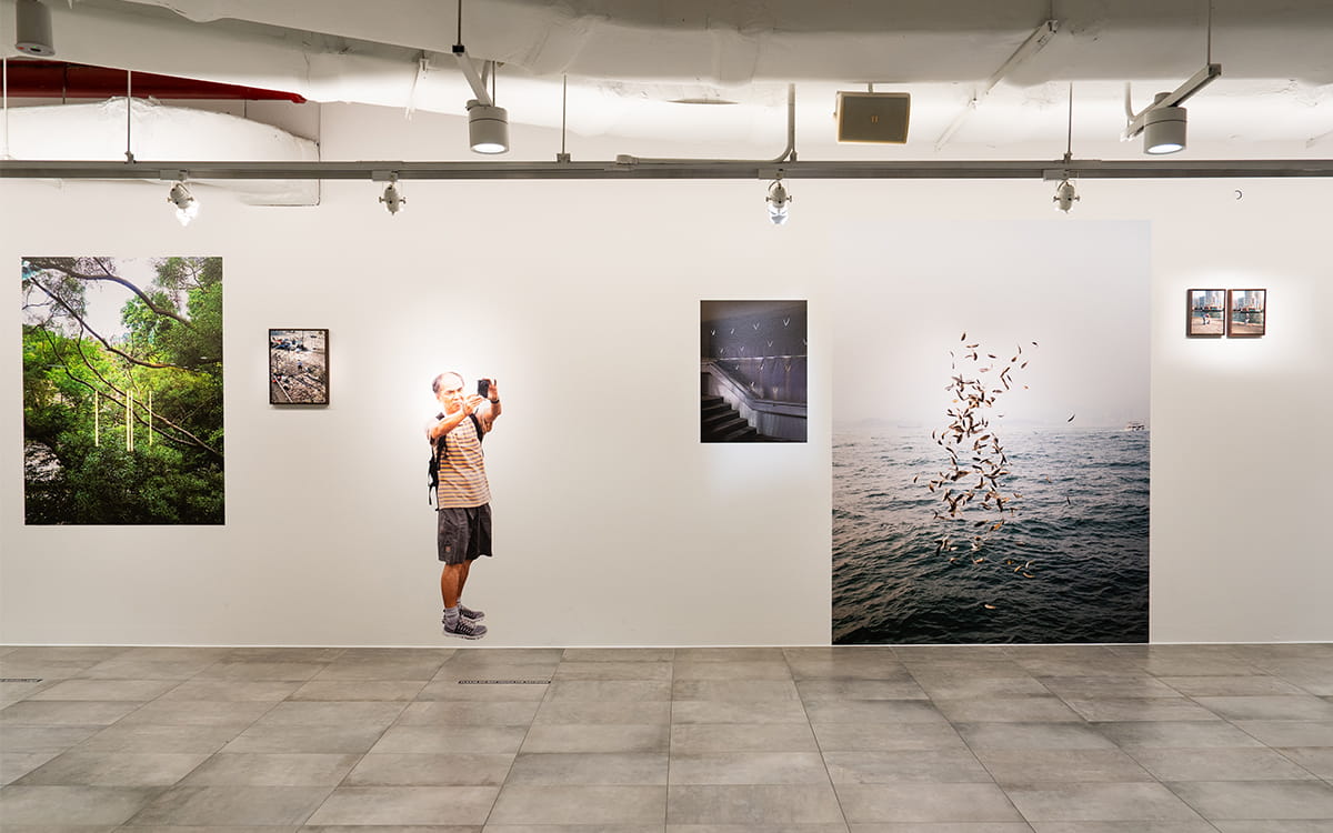 Installation view of Happy Valley, Pierfrancesco Celada, 2024.